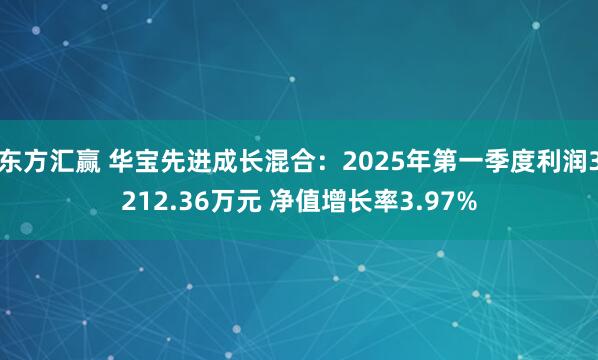 东方汇赢 华宝先进成长混合：2025年第一季度利润3212.36万元 净值增长率3.97%